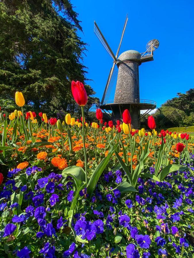 Golden Gate Park Suite ซานฟรานซิสโก ภายนอก รูปภาพ