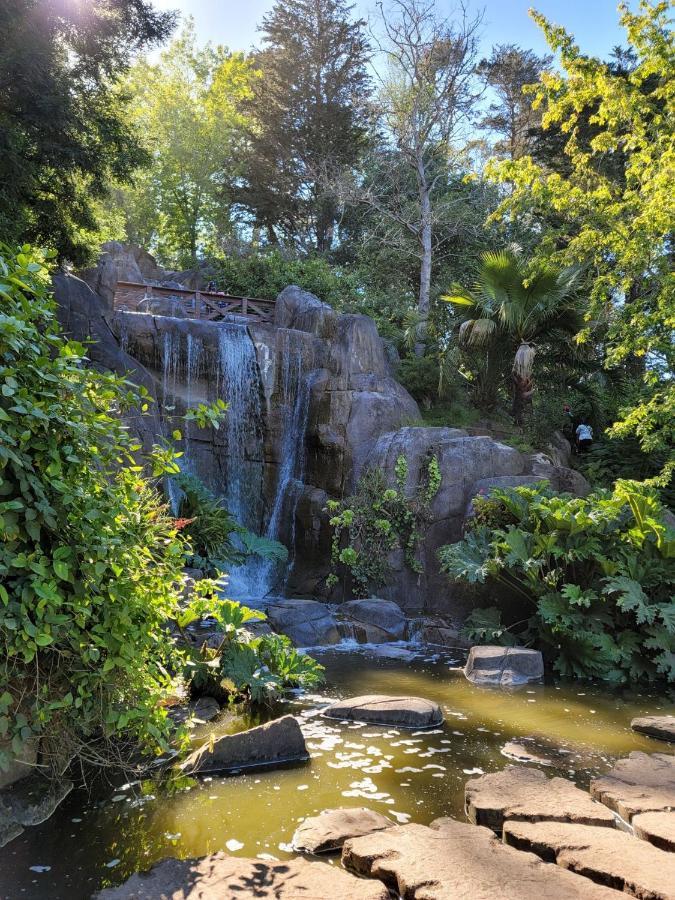 Golden Gate Park Suite ซานฟรานซิสโก ภายนอก รูปภาพ
